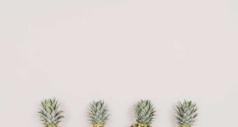 Photo Grilled pineapple